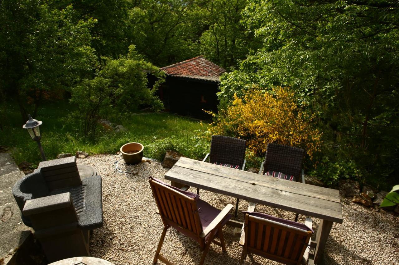Les Grangeonnes, Gites Nature, Piscine, Bain Nordique, Sauna Pour Accueil Familiale Ou De Groupe Saint-Basile Exterior photo